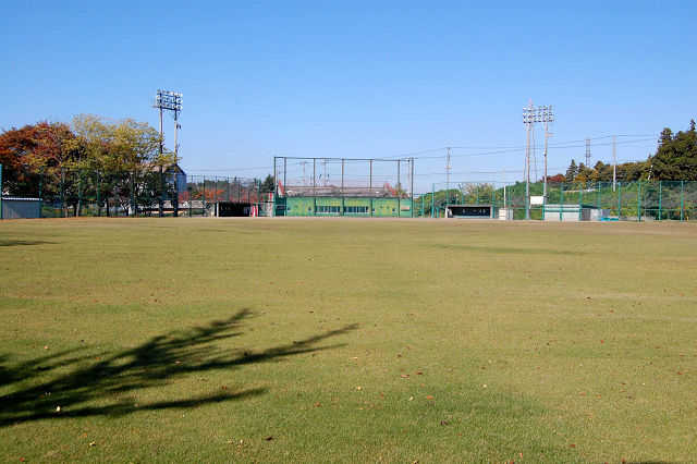 Jc싅