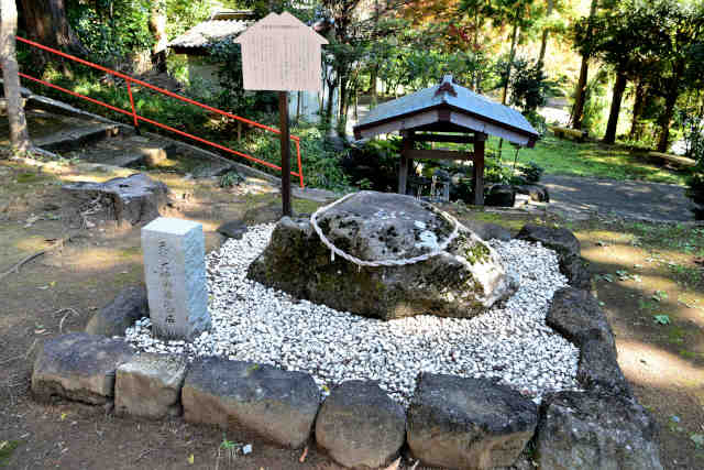 �Z���c��_�{