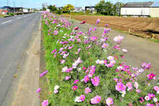 �R�X���X����