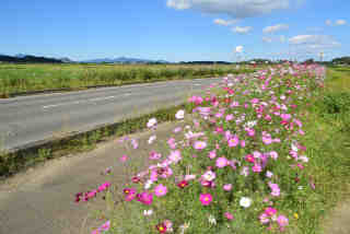 �R�X���X�O��