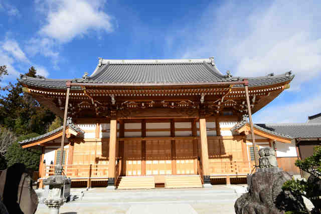 ���ʎ����{��