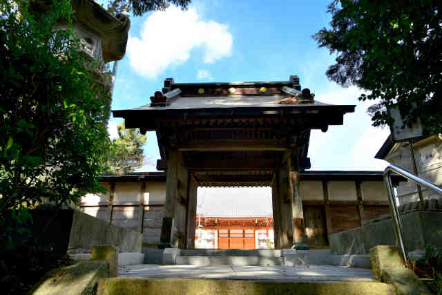 ���ʎ����R��