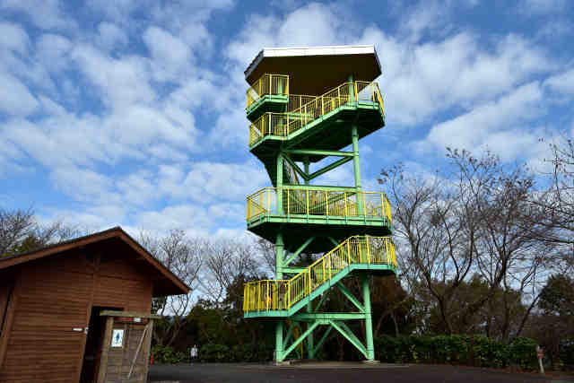 茨城県フラワーパーク展望塔