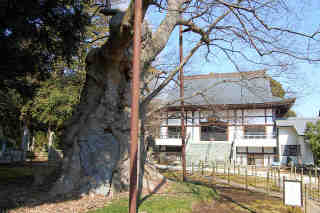高源寺