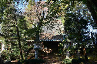 真像寺