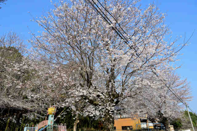 �n��_��������