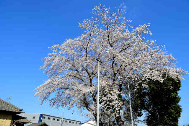 ���R���}�_�Ѝ�