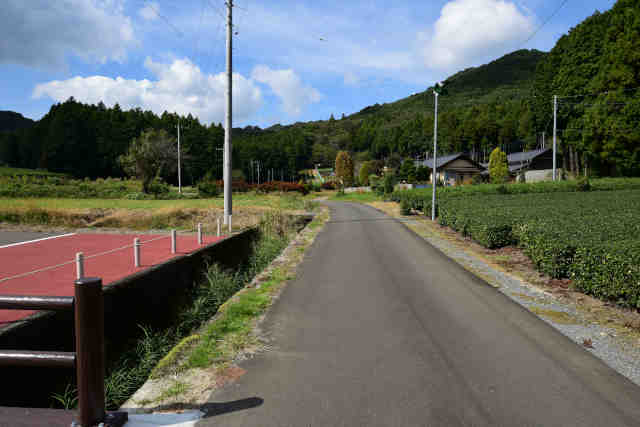 鶏足山駐車場脇道路