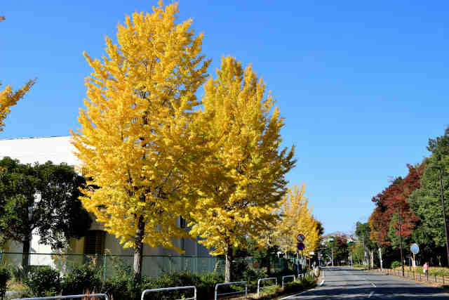 ������������Ǖ���