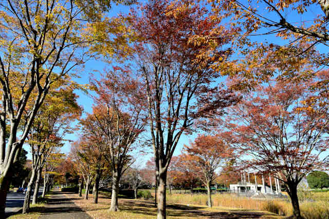 ��R�����g�t����