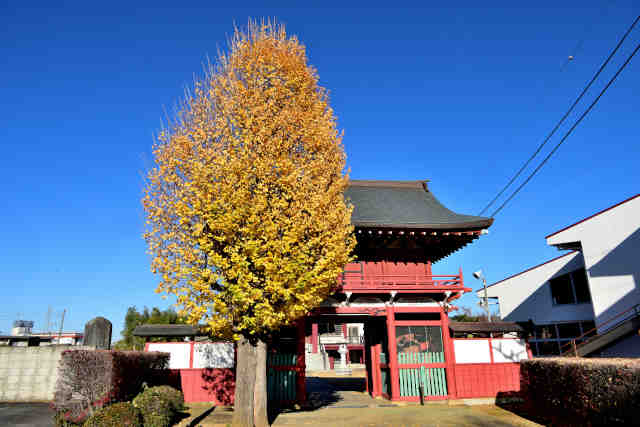 ���ю����