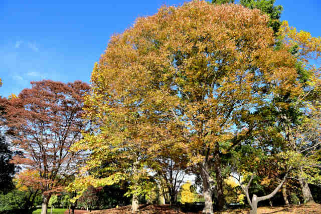 �}�g�k�������L��g�t