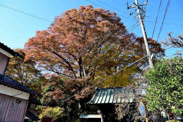 ����@�g�t