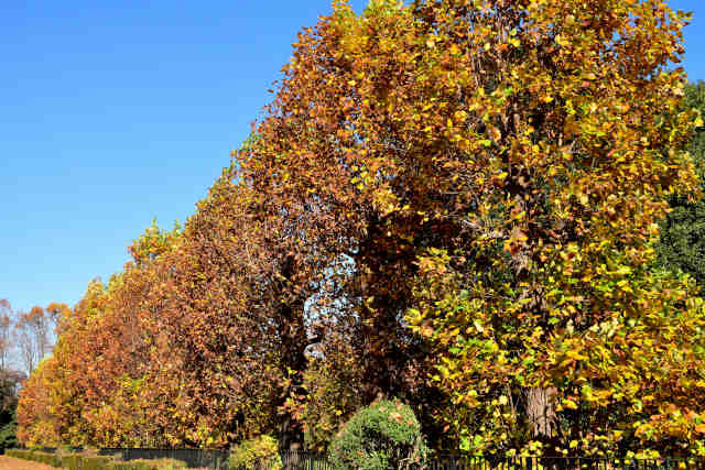 ���w�C�ۑ�g�t