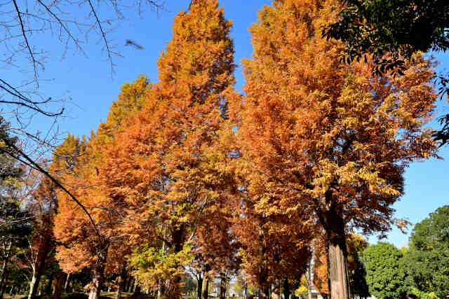 ���������g�t�g