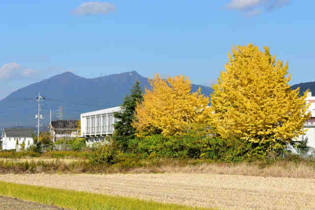 �I�����w�Z���