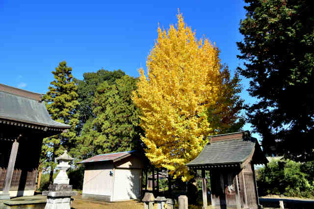 ���{�ꎭ���_�Ћ��