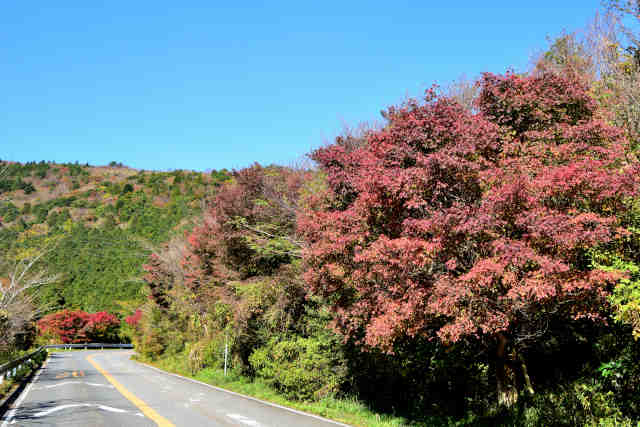 ���P�u��O�g�t