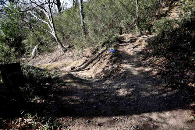 ����������I�o�R������