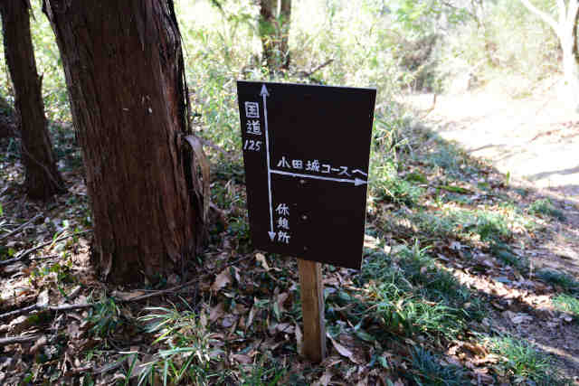 ������o�R������ē�