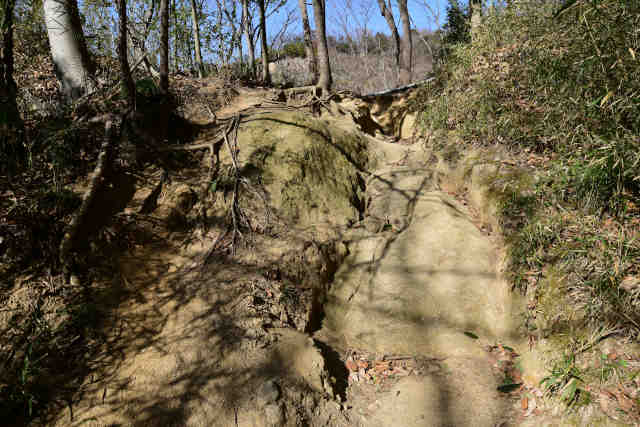 ������o�R����