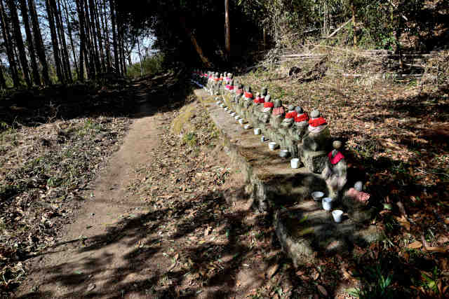 �������t�l