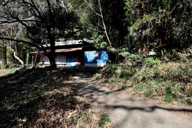 �������t�l��O