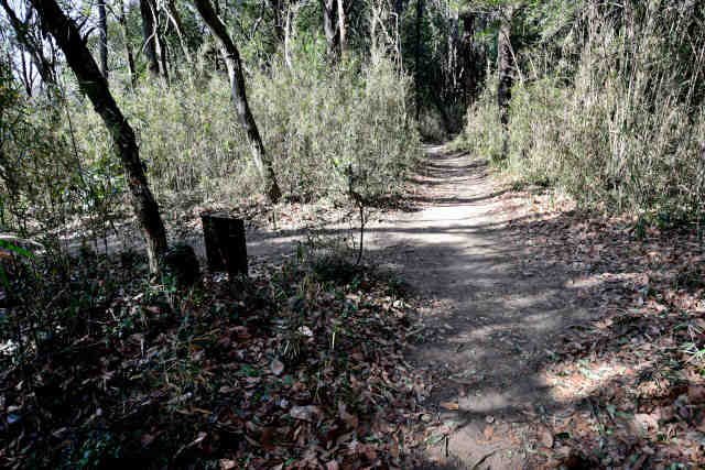 ������M����ՓW�]������