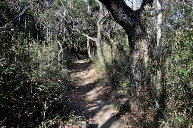 ������M����ՓW�]�������O