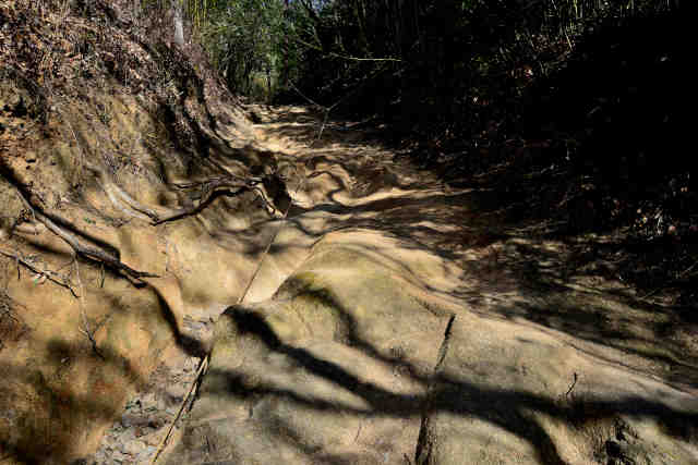 ������o�R����}�X��