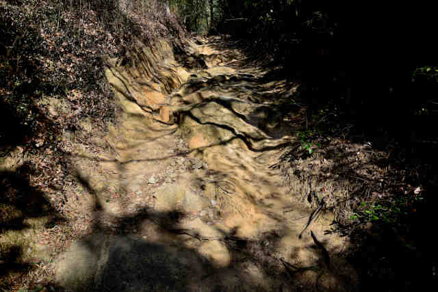 ������o�R����