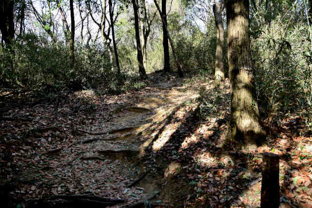 �����鏬�c�s���������