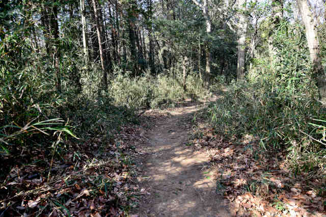 �����鏬�c�O�R�o�R��