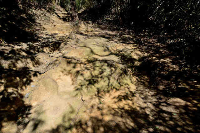 ������}�X��