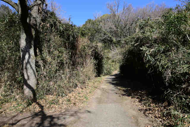 �������ʓ�