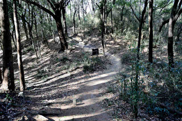 �����鏬�c�s������