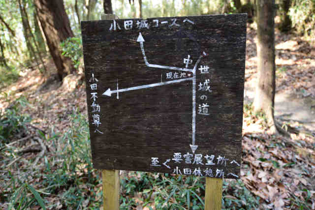 �����鏬�c�s������ē�