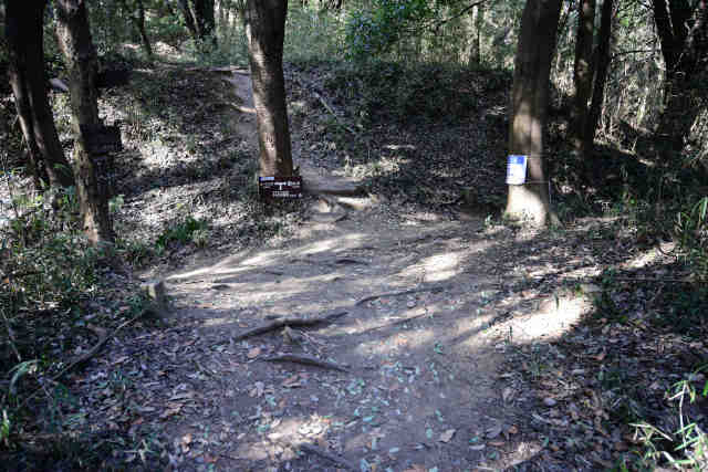 �����鏬�c�鍇��