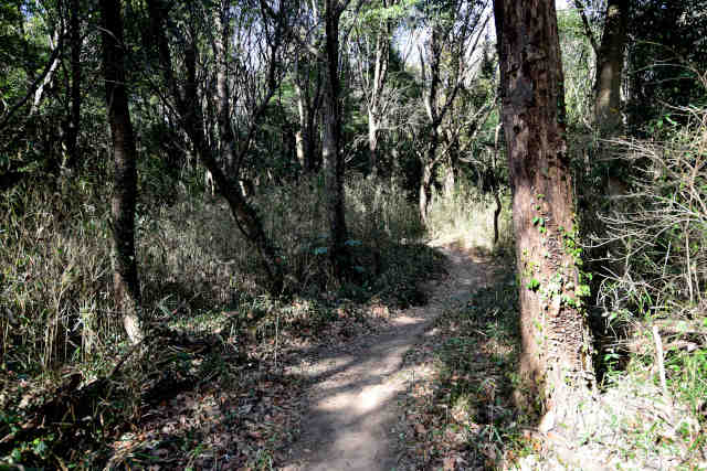 �����鏬�c�鍇����O