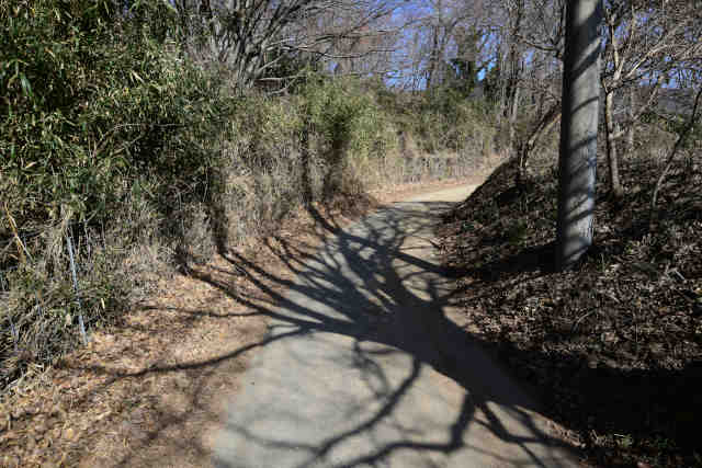 �����钓�ԏ��