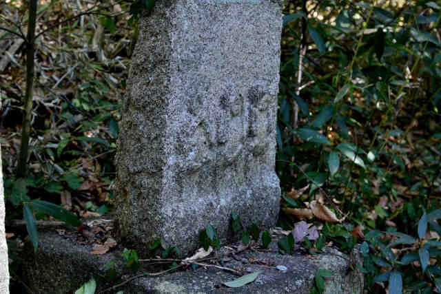 ������O��