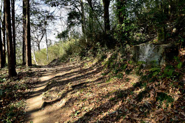 ������O������