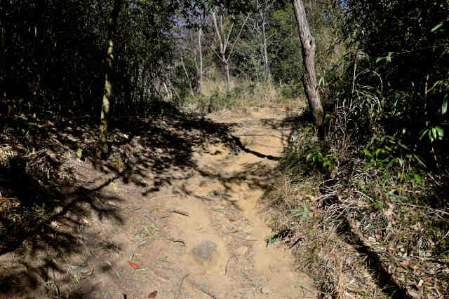 ������W�]�O