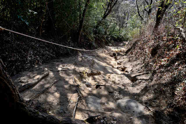 ������ォ��