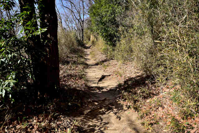 ������o�R����