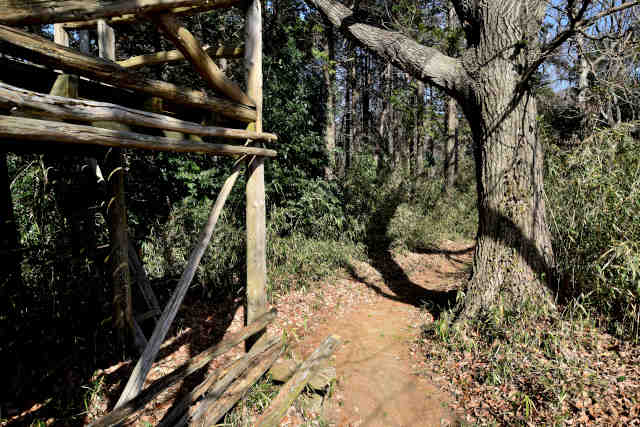 ������X�̓�����