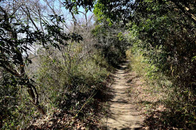 �����钼��