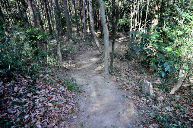 �����鏬�c�s�������O