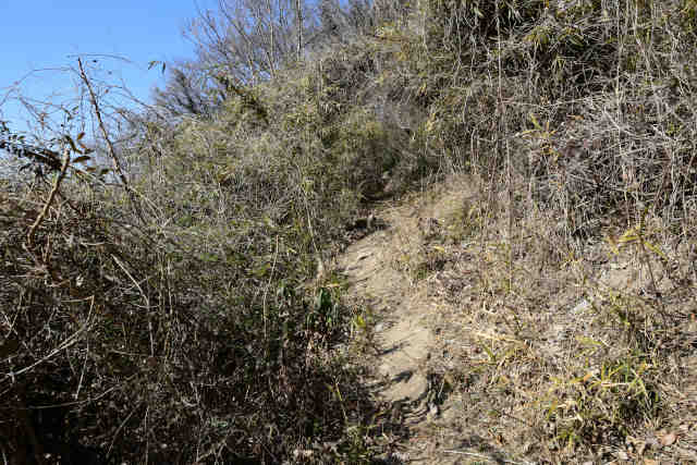 �k�l���A�J�V�A�J�o��