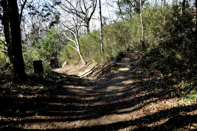 �k�l��������̓�����